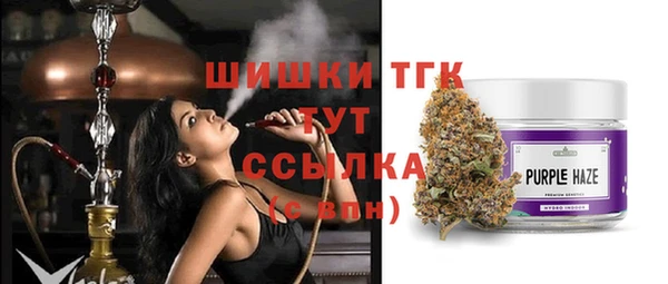 твердый Горно-Алтайск